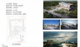 安丘最新爆料消息,揭秘事件背后惊人真相