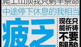 圆梦之行最新爆料是哪一集,揭秘第XX集精彩剧情！
