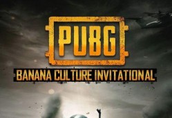 pubg手册爆料最新多少钱,价格狂飙，游戏市场再掀波澜