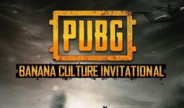 pubg手册爆料最新多少钱,价格狂飙，游戏市场再掀波澜