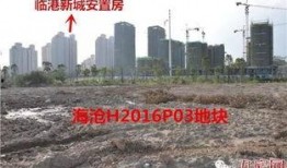 厦门土拍最新爆料,多宗地块竞拍激烈，价格创新高！
