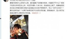 小郭最新爆料视频大全集,揭秘娱乐圈幕后真相
