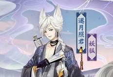 妖狐皮肤爆料大全最新版,最新版全解析，带你领略独特魅力