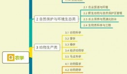 特步最新爆料视频大全集,揭秘品牌新动向与潮流趋势