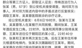 张陶事件爆料最新消息,揭秘背后真相与后续影响