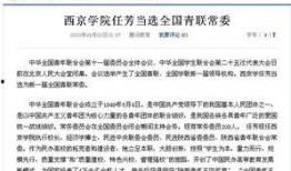 西京最新爆料事件,揭秘事件背后惊人真相